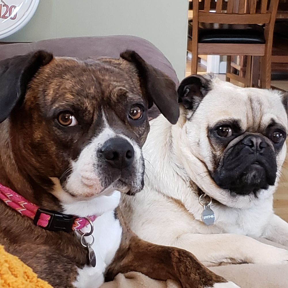 Meet your Posher, Becky